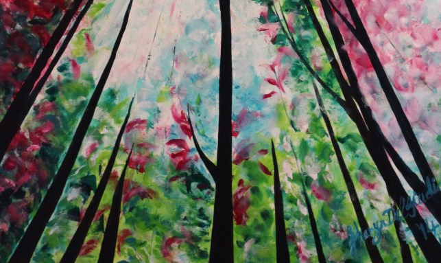 Daintree Dreaming 3 home page