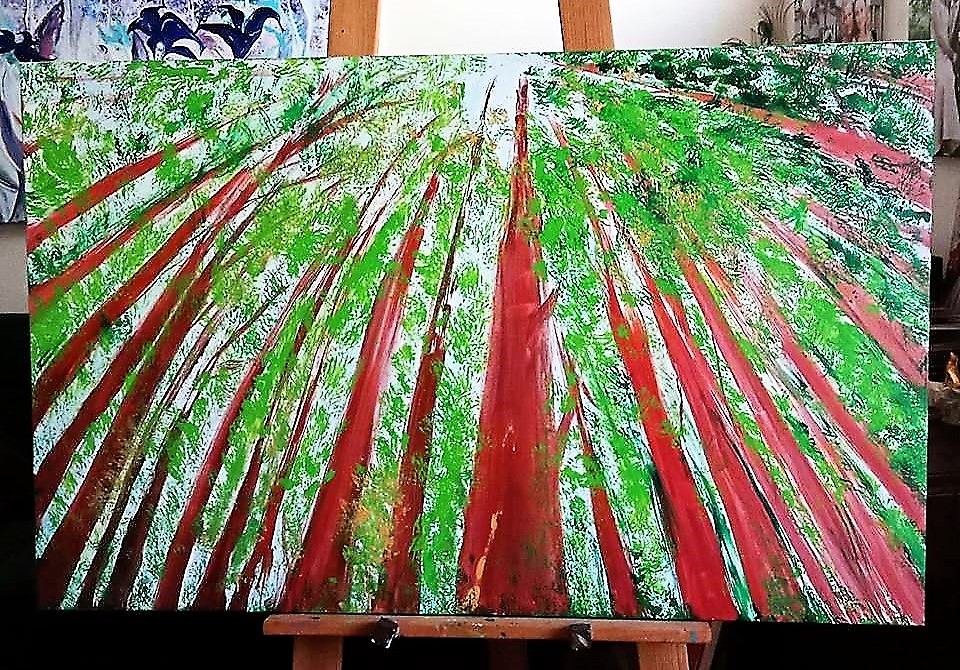 Californian redwoods Warburton website news